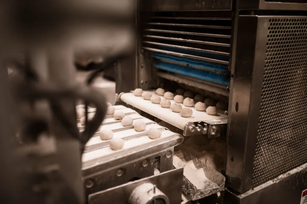 Dough rolls on the bakery production line