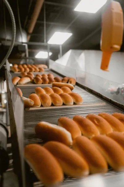 Hot dog rolls moving along the production line